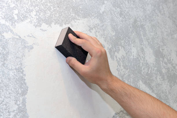 Best Post-Construction Mold Inspection  in Demarest, NJ