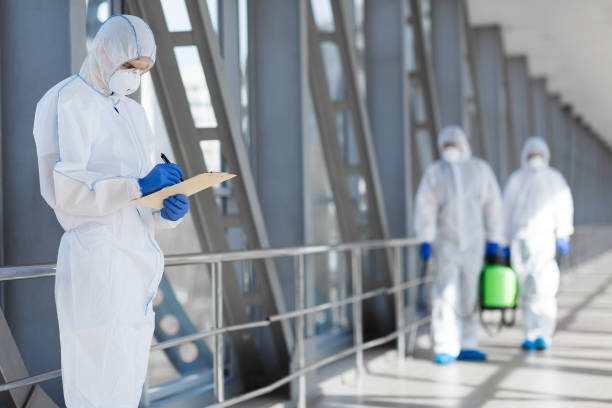 Mold Documentation for Insurance Claims in Demarest, NJ