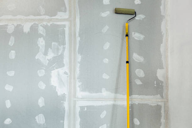 Best Black Mold Removal  in Demarest, NJ
